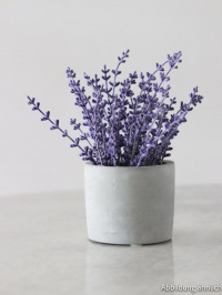 Lavendelstrauß - Lavendelbund extra blau 1 Bund